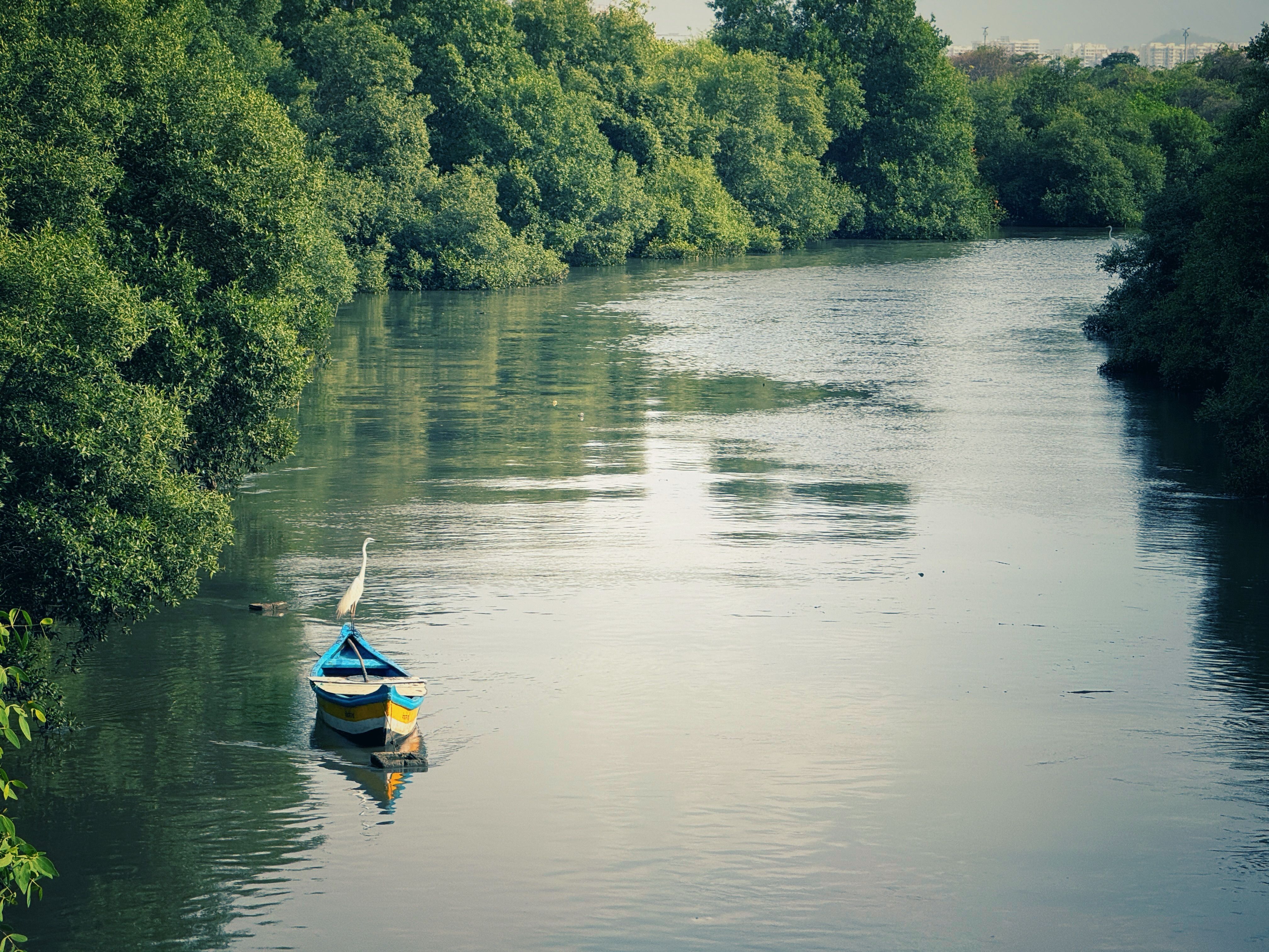 Sundarban
